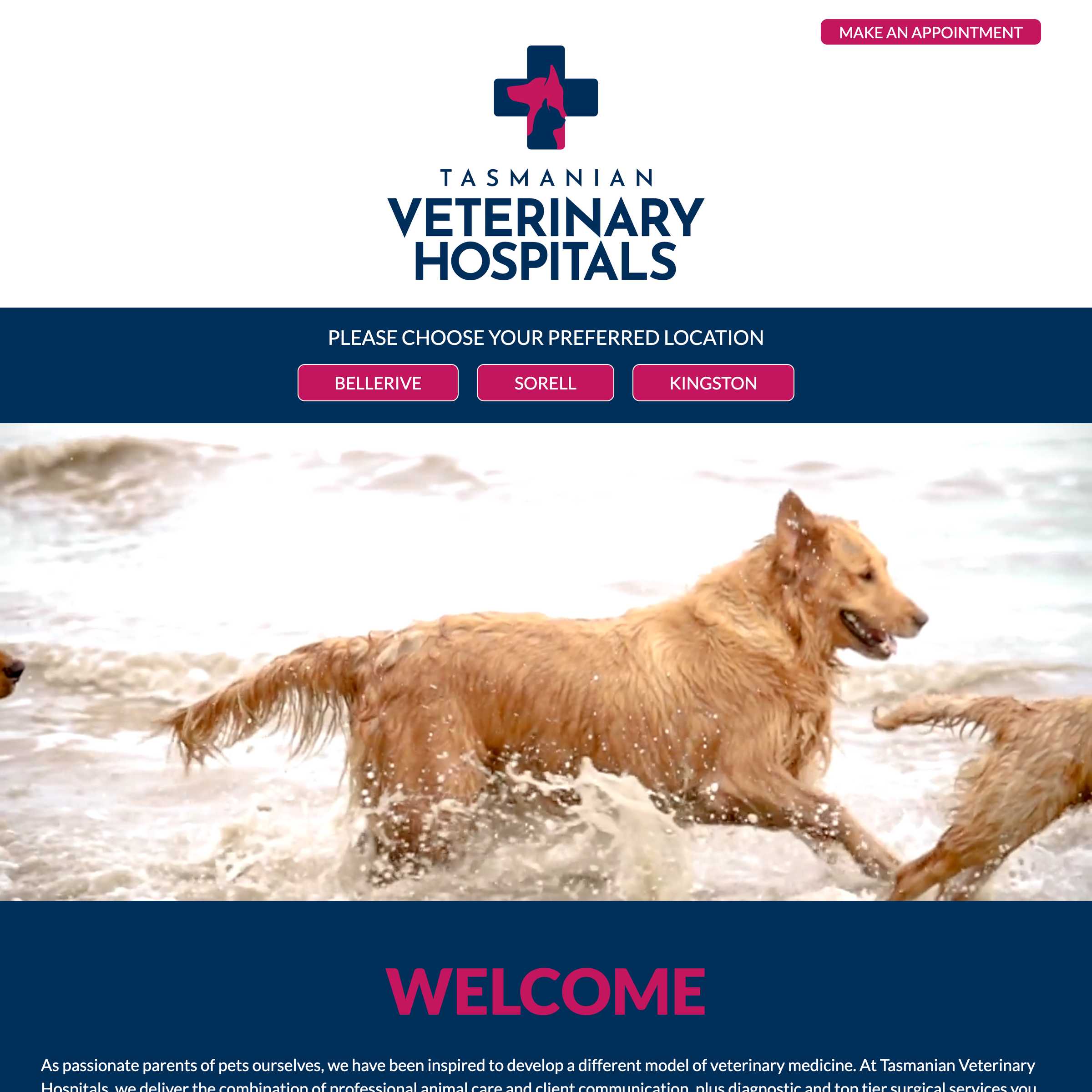 Screenshot of the Tasmanian Veterinary Hospitals project