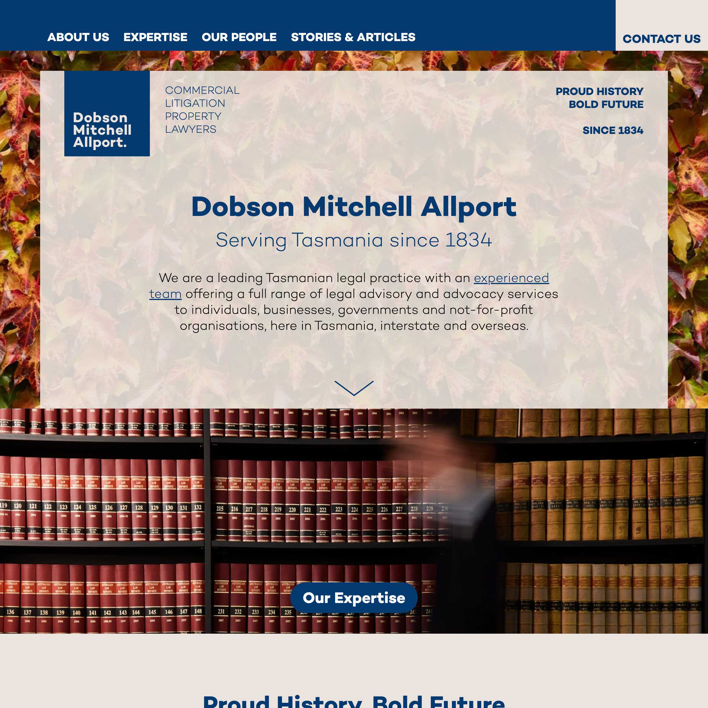 Screenshot of the Dobson Mitchell Allport project